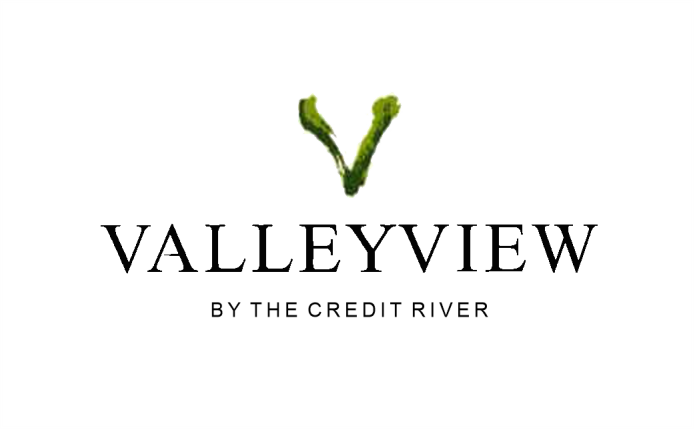 Golden-Falcon-Homes---Valleyview-project---logo-2